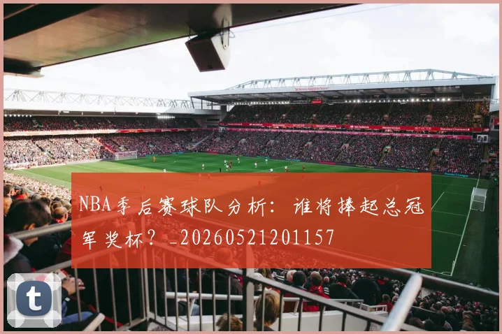 NBA季后赛球队分析：谁将捧起总冠军奖杯？_20260521201157
